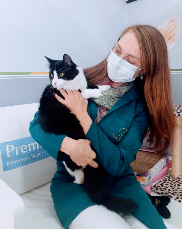 Cardiologista para Gatos Capão Raso - Veterinário Especialista para Gatos