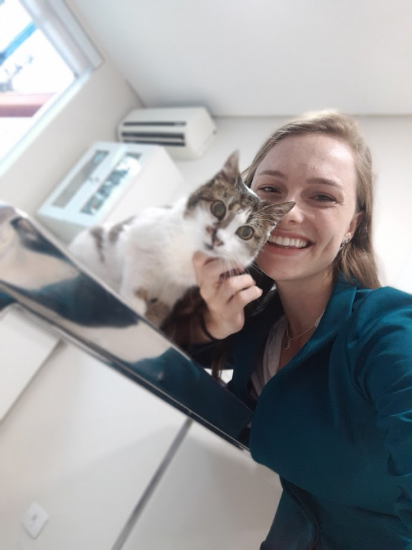 Clínica Que Faz Exame para Detectar Esporotricose Felina Xaxim - Exame de Raiva em Gatos