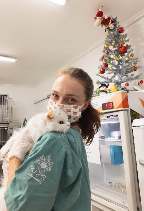 Clínica Veterinária Especializada em Gatos Contato Santa Quitéria - Clínica para Gato
