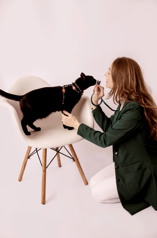 Contato de Clínica Veterinária Especialista em Gatos Sítio Cercado - Clínica para Gato