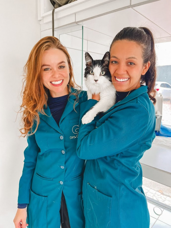 Contato de Veterinário Especialista para Gatos Bairro Alto - Neonatologia Felina