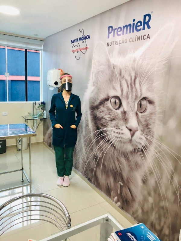 Exame de Sangue em Gatos Agendar Rebouças - Exame para Detectar Esporotricose Felina