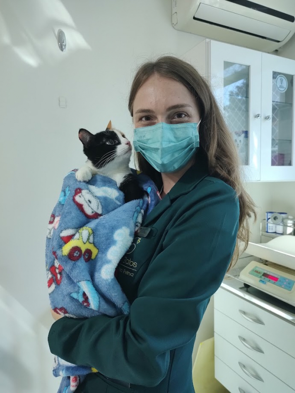 Onde Agendar Veterinário Gato Rebouças - Especialista em Gatos