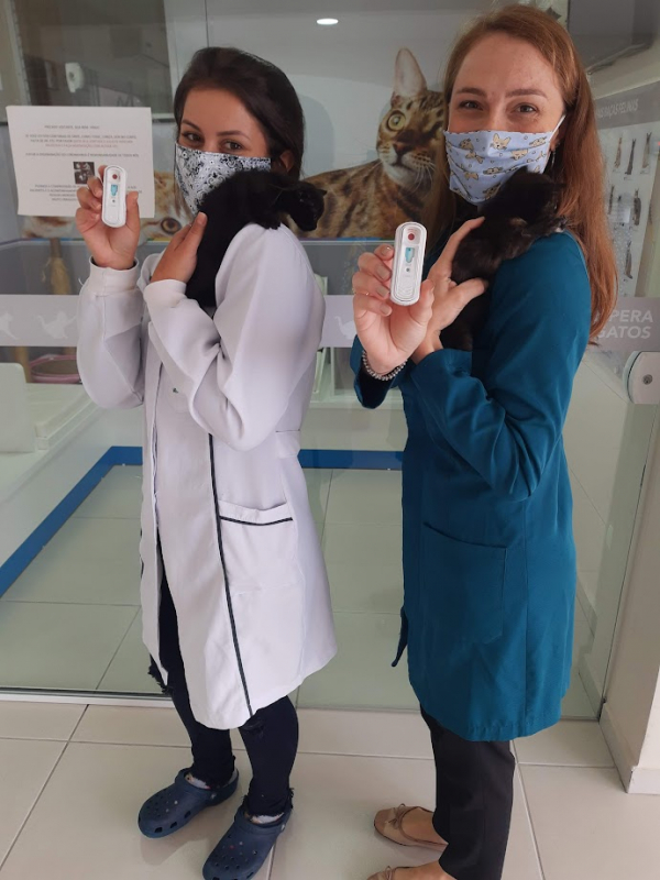 Onde Fazer Teste Imunodeficiência Felina Boqueirão - Teste de Fiv e Felv em Gatos
