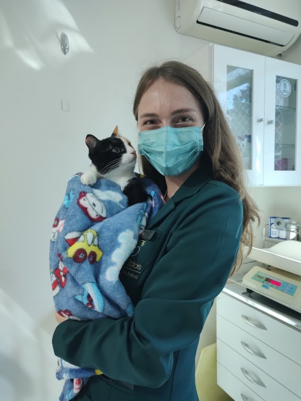 Onde Marcar Consulta Veterinária para Gatos Ahú - Consulta Medica para Gato