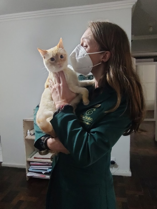 Onde Marcar Veterinário de Gato Mercês - Veterinário Especializado em Felinos