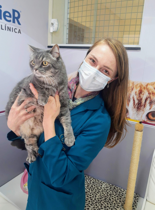 clínica que faz ultrassom para gatos Alto da Glória