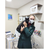aplicação de vacina quadrupla felina Guabirotuba