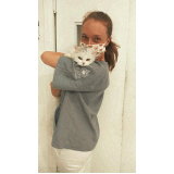 clínica que aplica vacinas para gatos filhotes São José dos Pinhais