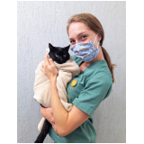 clínica que faz check up para gato Jardim das Américas