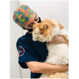 clínica que faz check up veterinário para gato Água Verde