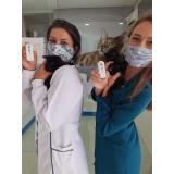 clínica que faz teste felv gatos Bairro Alto