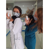 clínica que faz teste fiv e felv para gatos Guaíra