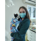 clínica que faz ultrassom para gatos Alto da Glória