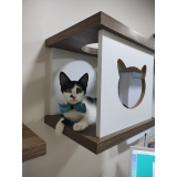 clínica veterinária especialista em gatos telefone Alto Boqueirão