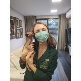 onde agendar veterinária felinos São José Pinhais
