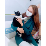 onde marcar veterinário para gatos Jardim Social