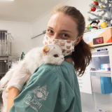 vacina contra leucemia felina Prado Velho