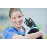vacina tríplice felina para gatos marcar Novo Mundo
