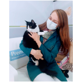 vacina v5 para gatos Campo Comprido
