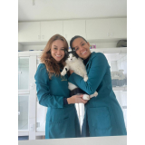 veterinário especializado em felinos marcar Cabral