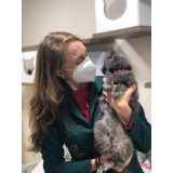 veterinário para felinos marcar Fanny