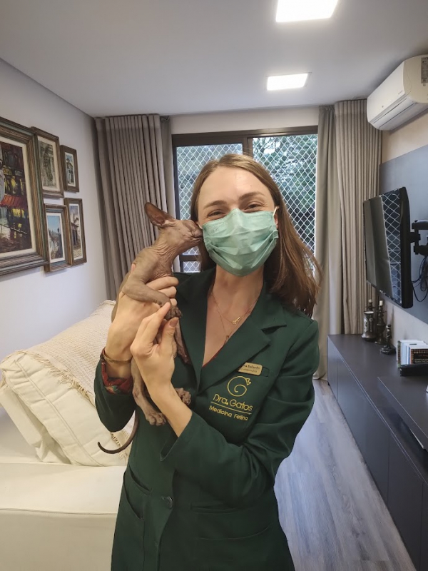 Veterinária de Felinos Ahú - Veterinário para Gatos Região Metropolitana de Curitiba