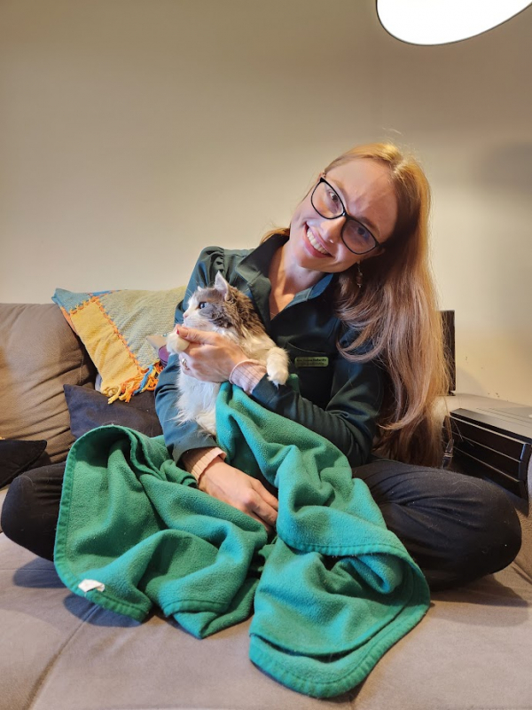 Veterinário para Gatos Abranches - Veterinários Especialistas em Gatos